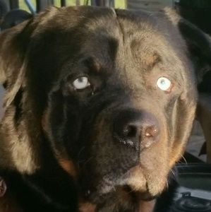 Meet your Posher, Randy